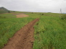CIMG0497