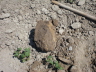 CIMG0739