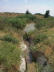 CIMG0749